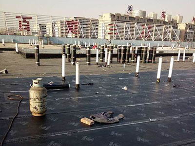 1601911277111245.jpg 10.jpg